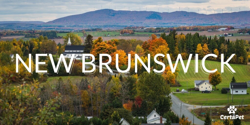 định cư New Brunswick